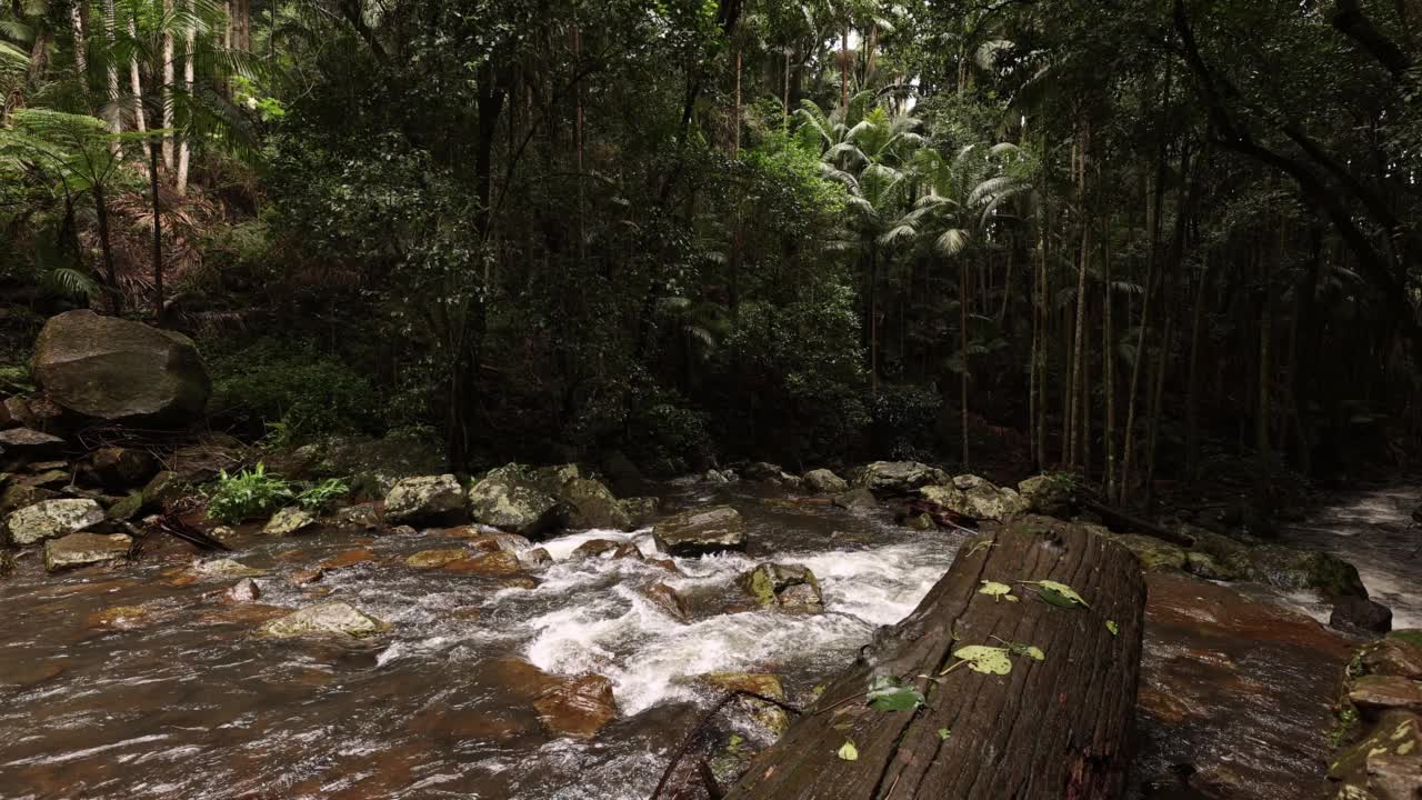 湍急的瀑布和澳大利亚的热带雨林视频素材