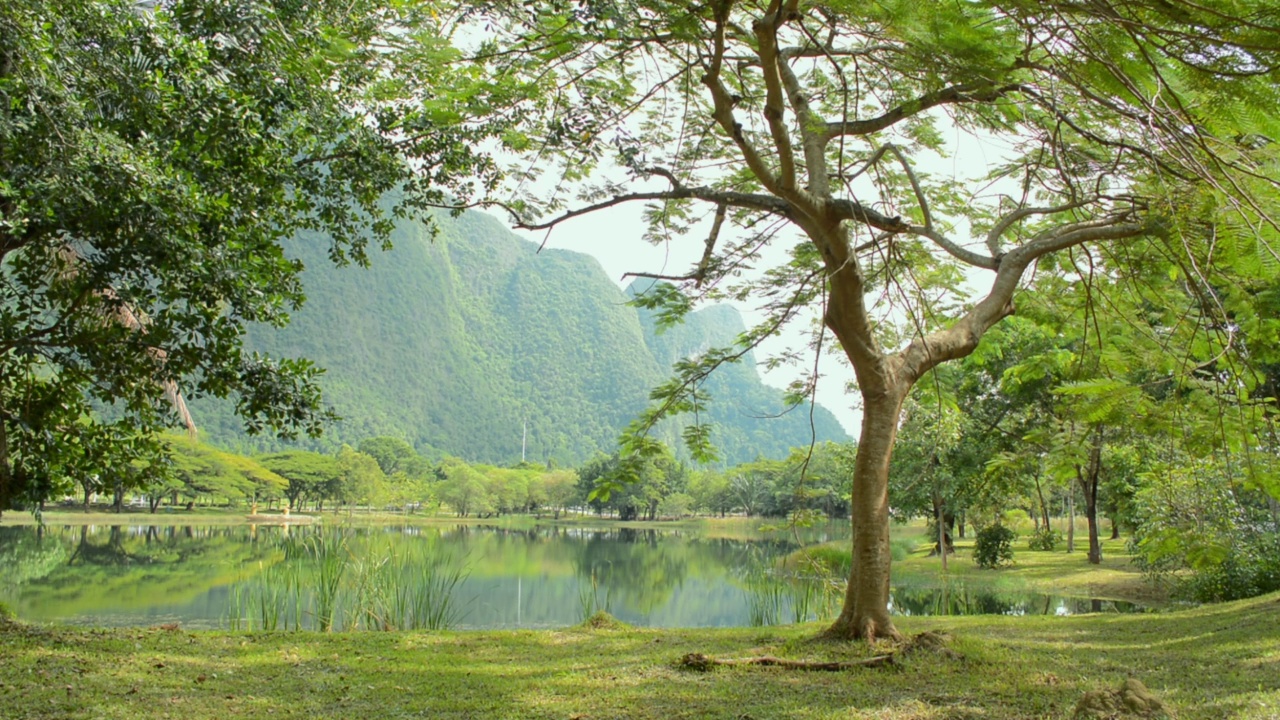 风景优美的公园景观，绿树环绕自然池塘。视频素材