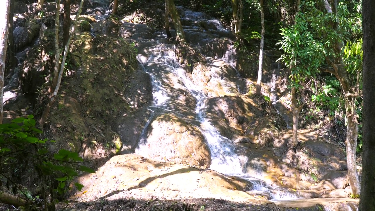 淡水从绿色森林中的梯级岩石中流出。热带雨林，小瀑布，清澈的水和茂盛的树叶视频素材