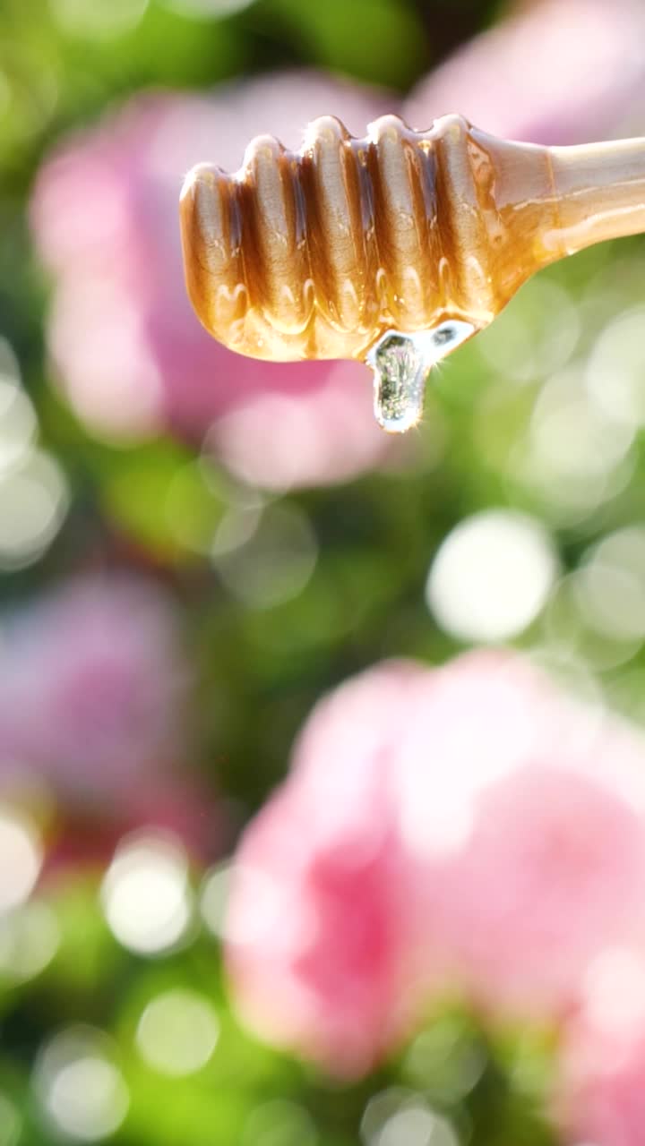 从木制滴管倒出天然蜂蜜视频素材