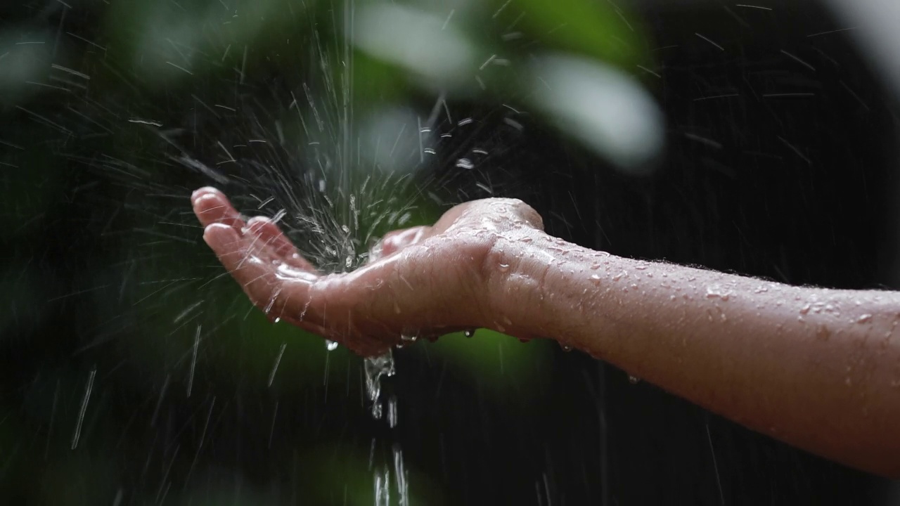 雨视频下载