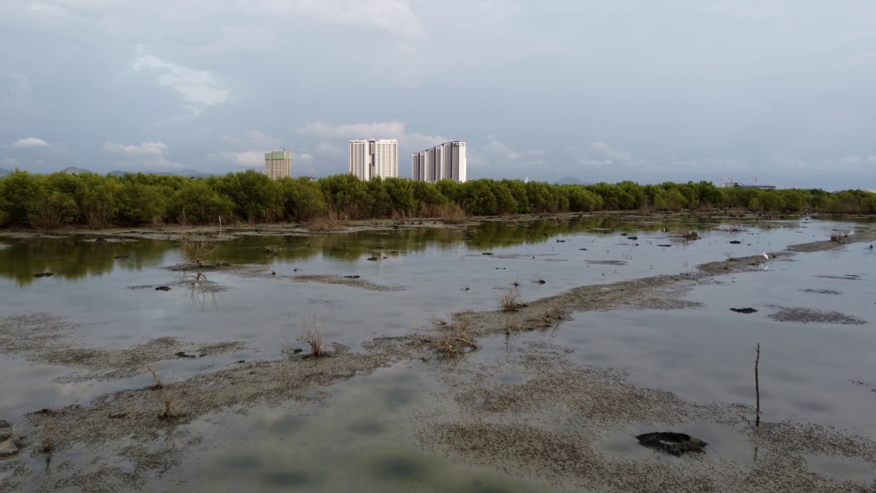 鸟瞰图湿地水域干涸视频素材