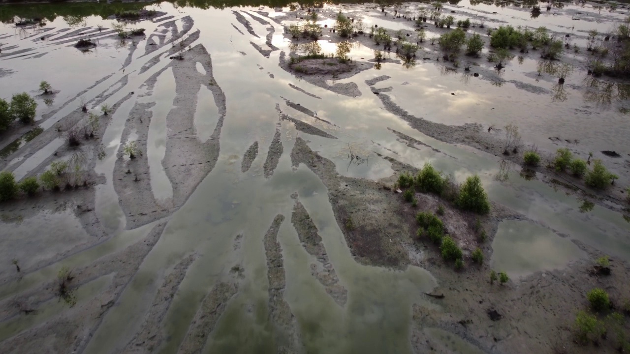 鸟瞰拖拉机在湿地上的发展轨迹视频素材