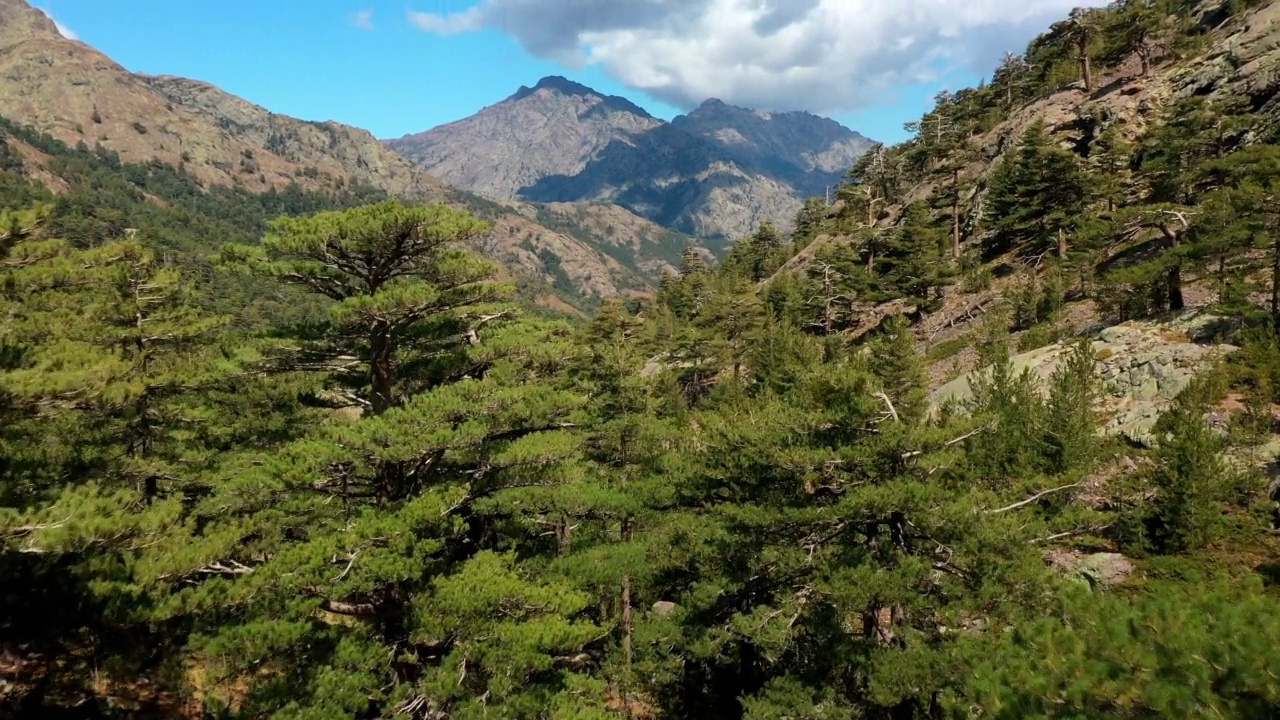 空中前进风景拍摄森林在多云的天空下- Asco，法国视频素材