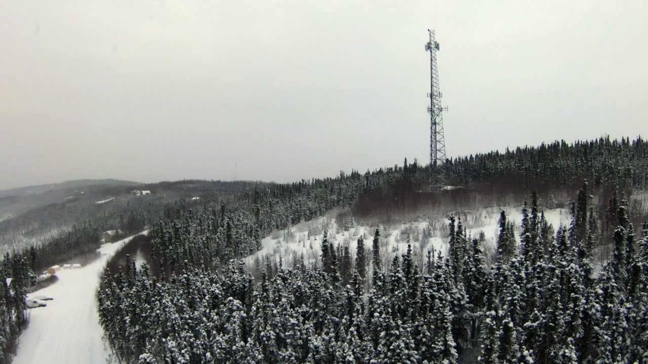 空中平移拍摄高大的电线杆在树中，无人机飞行在森林的雪向前-费尔班克斯，阿拉斯加视频素材