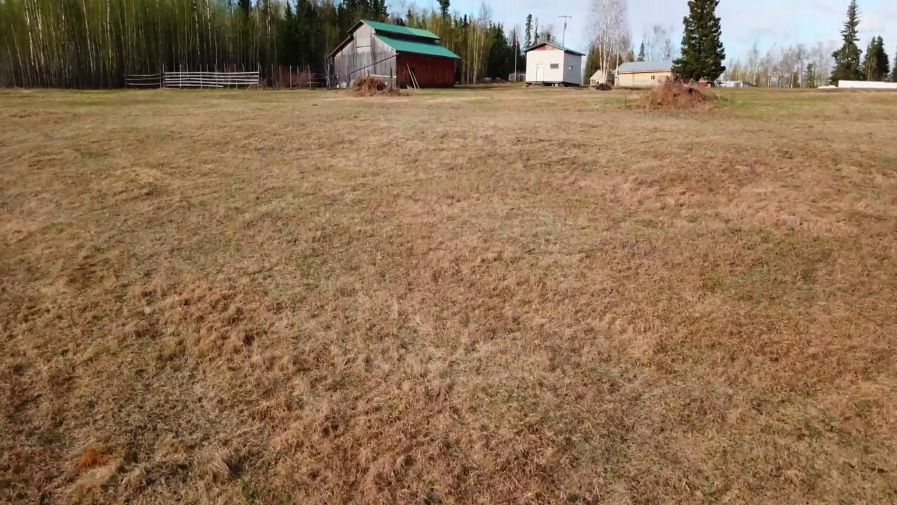 空中倾斜拍摄的山上的住宅，无人机在森林上空向前飞行-费尔班克斯，阿拉斯加视频素材