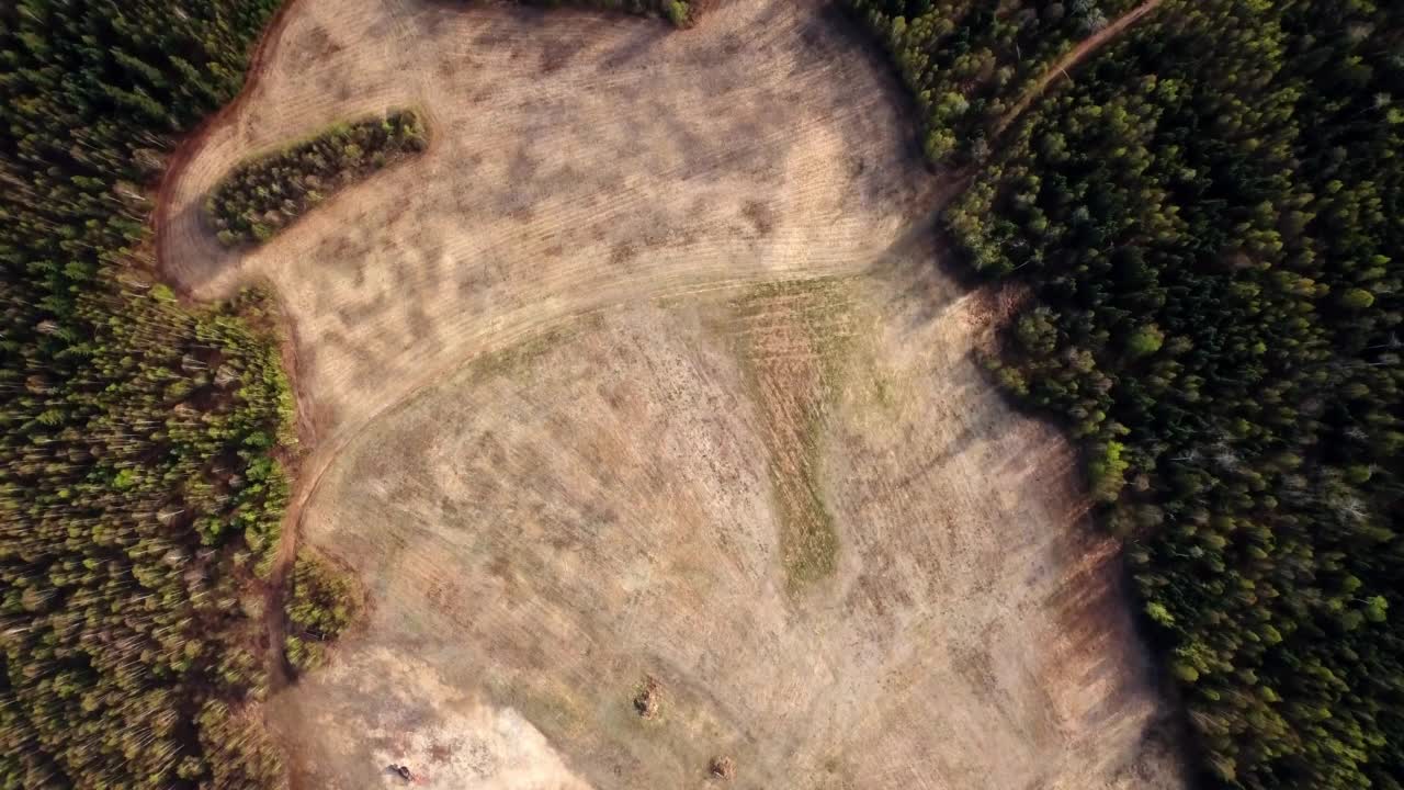 从空中向上拍摄的森林中绿树丛中的空旷景观-费尔班克斯，阿拉斯加视频素材