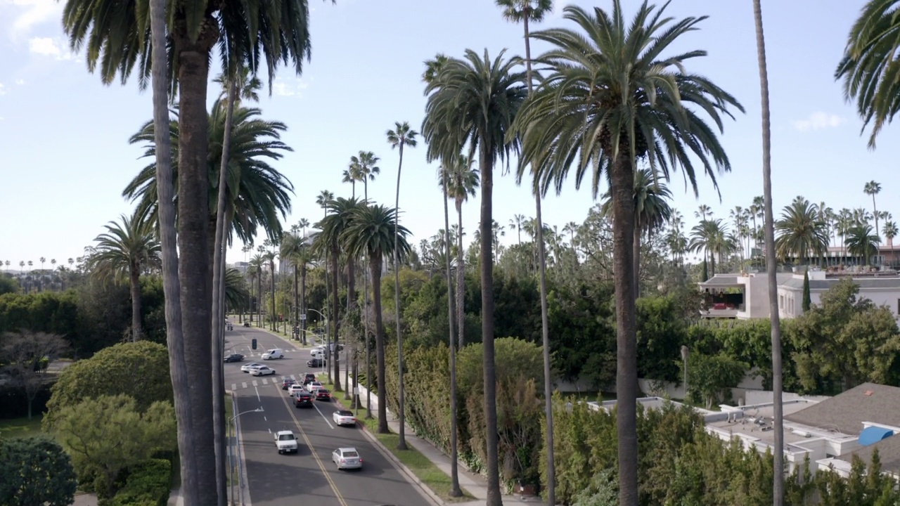 航拍汽车移动在道路上的住宅城市，无人机飞行向上的棕榈树-比弗利山，加利福尼亚州视频素材