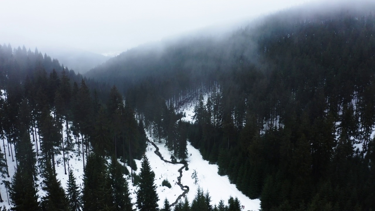 航拍宁静的冷杉树在雪地上在冬天-图林根，德国视频素材