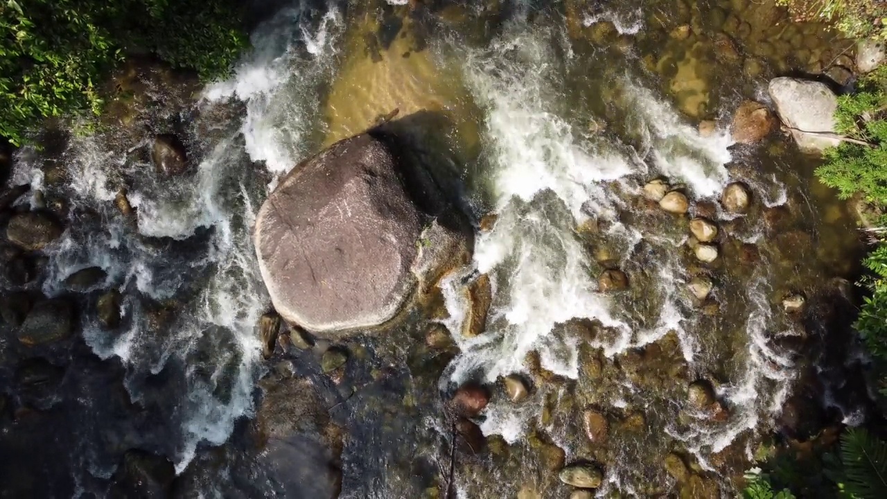 在Sungai Sedim森林，水流从岩石上流过视频素材