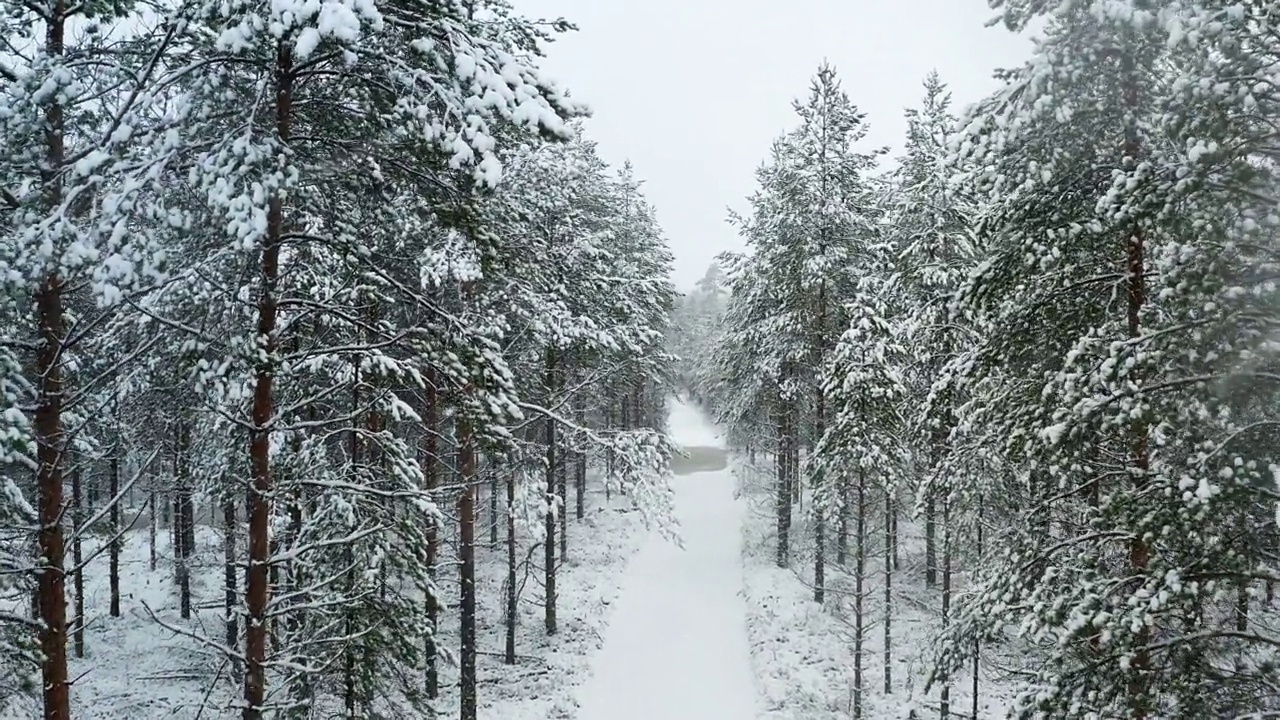 航拍到的小路上飞过白雪覆盖的森林，然后在瑞典北部的冬季景观上空飞行视频下载