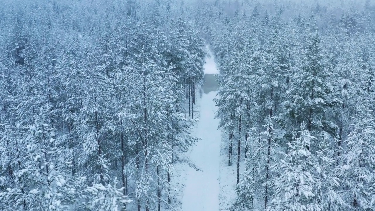 航拍镜头缓慢地飞过白雪覆盖的森林，飞过小道路，然后飞过瑞典北部的冬季景观视频素材