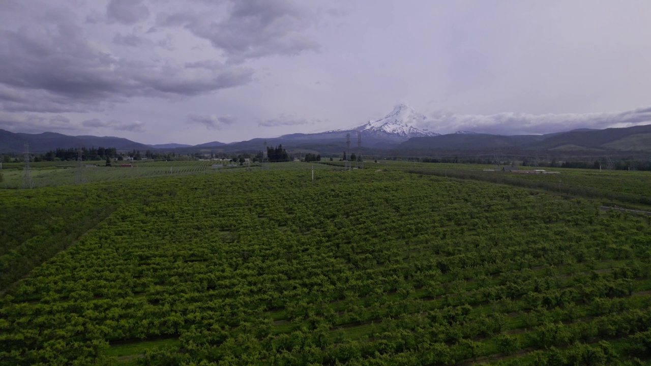 火山在农业领域低拉回视频素材