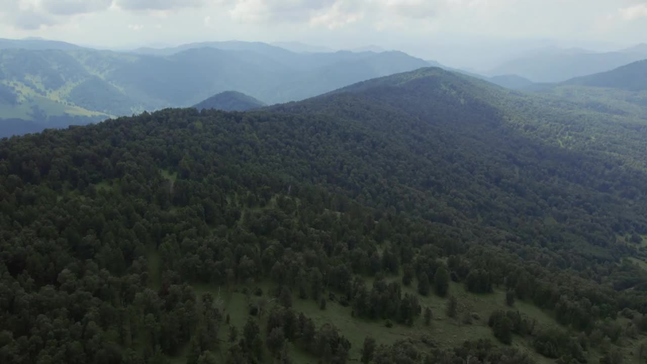 蓝天下，满哲洛克山上的山谷和绿色的深林视频素材