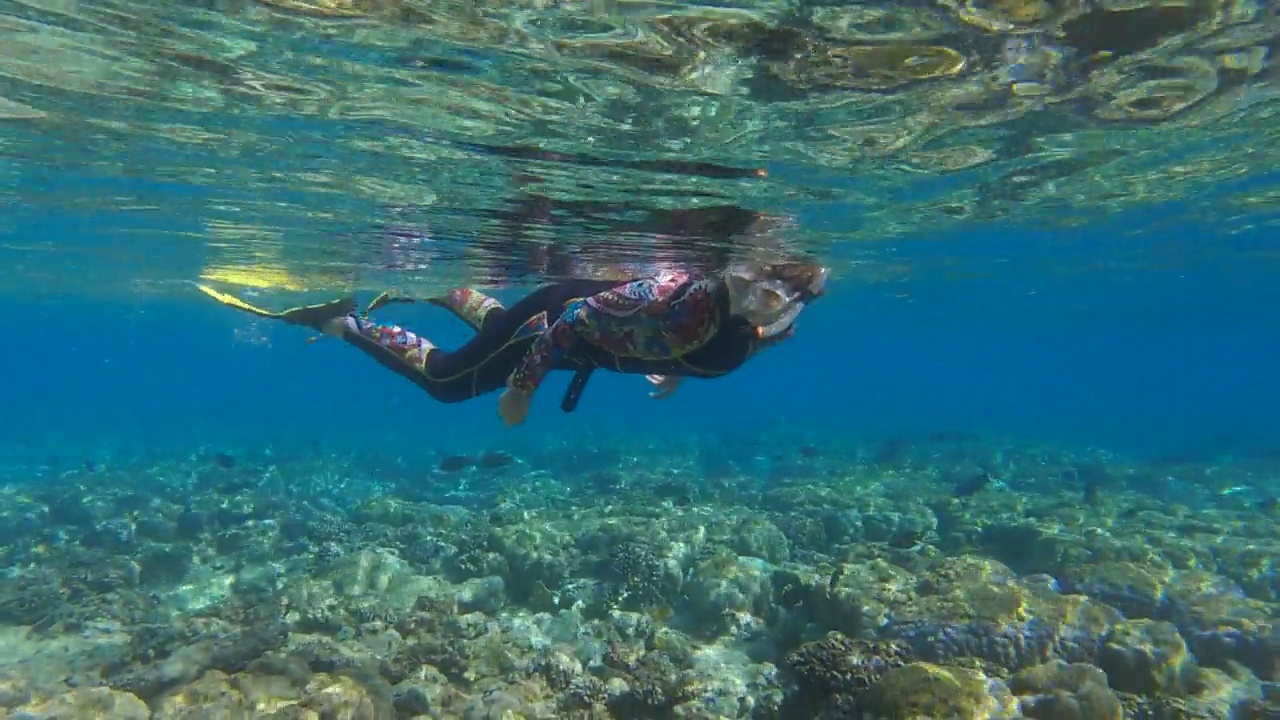 穿着潜水装备的女子躺在水面上观察海洋生物。女浮潜者在水下游泳，看水下世界(4K-60fps)视频素材