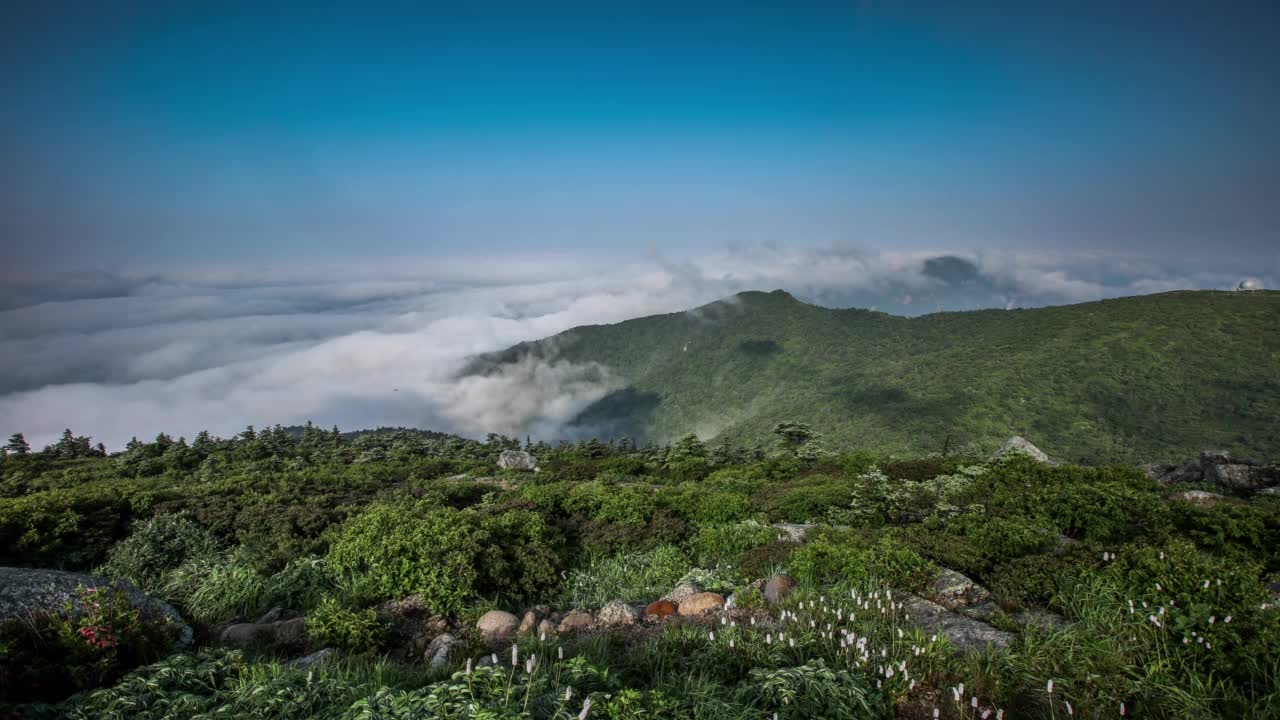 清晨雪岳山的风景/江原道视频素材