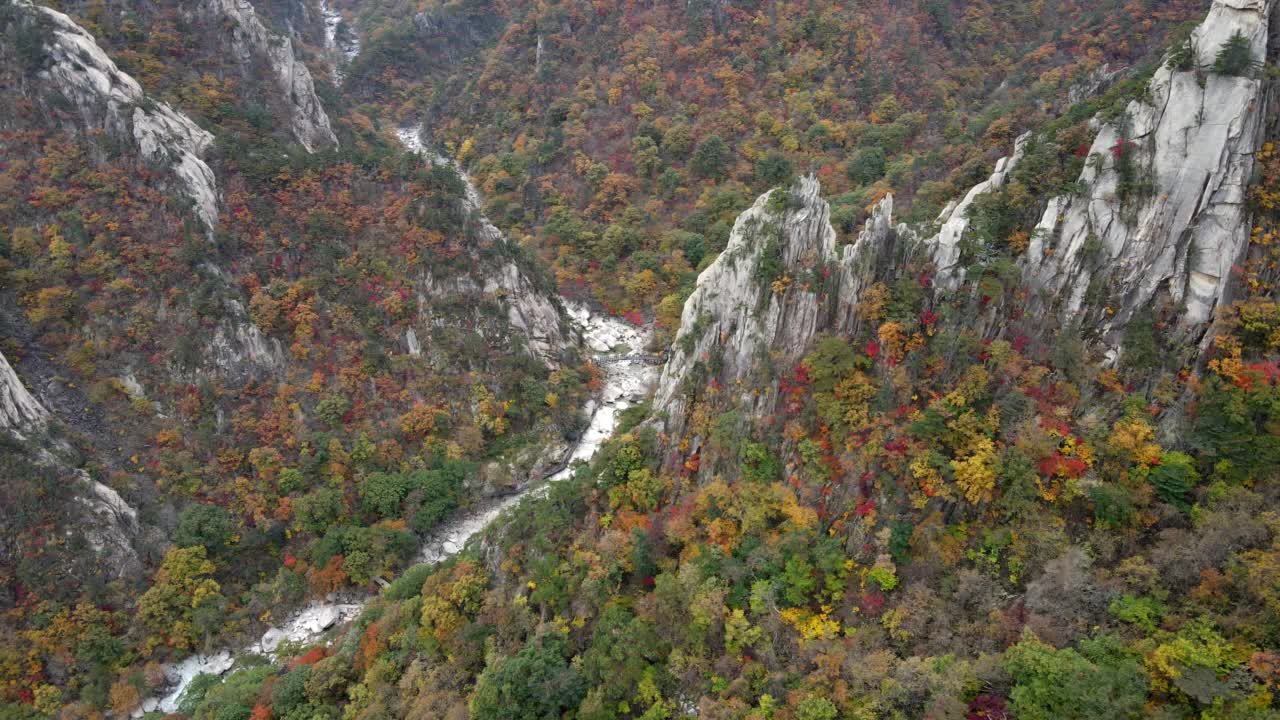 秋色覆盖的雪岳山风景/江原岛视频素材