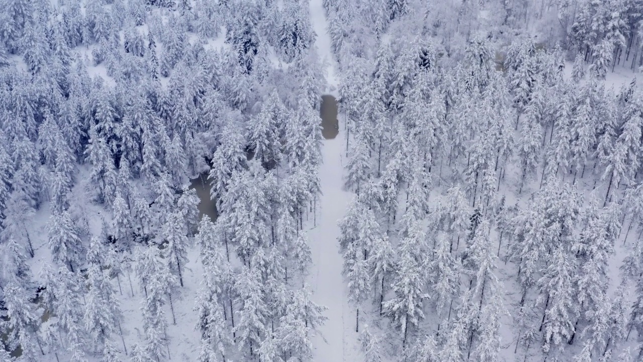 风景鸟瞰图，缓慢降落在冬季北方森林。松树和云杉被新雪覆盖。视频素材