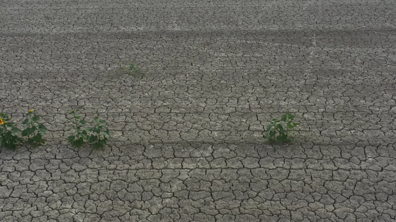 鸟瞰干燥的地面和干旱视频素材