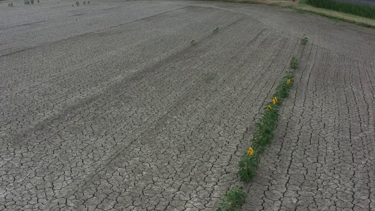 鸟瞰干燥的地面和干旱视频素材