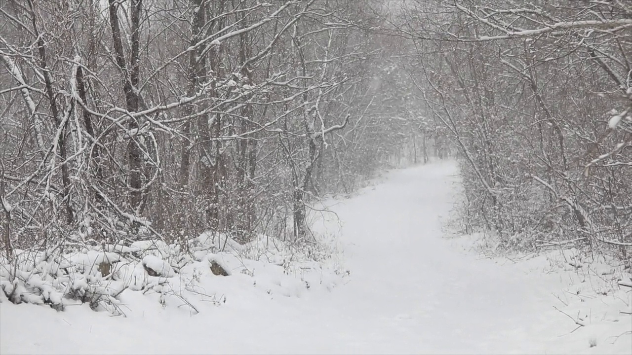 冬天的雪山小道视频素材