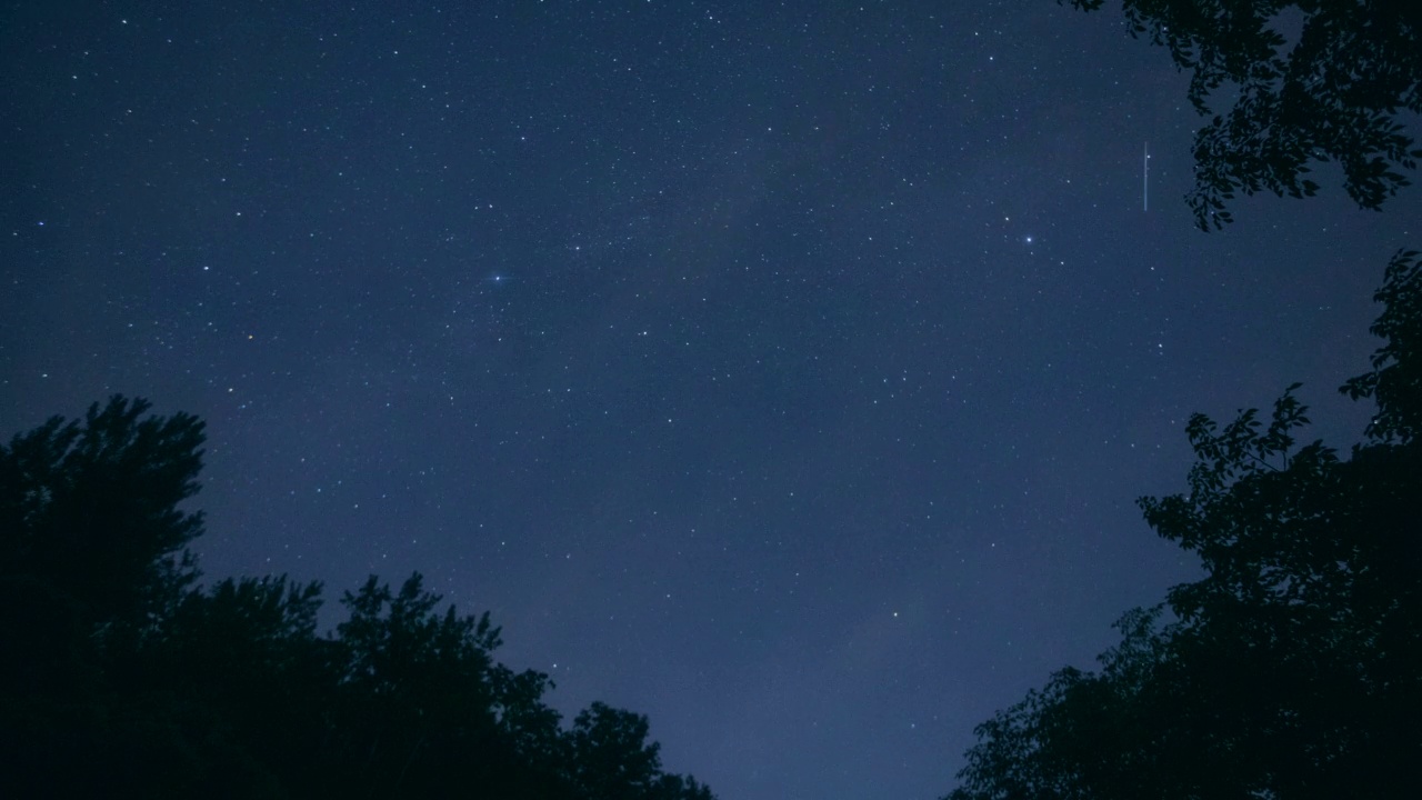 时间流逝-从森林看夜空视频素材