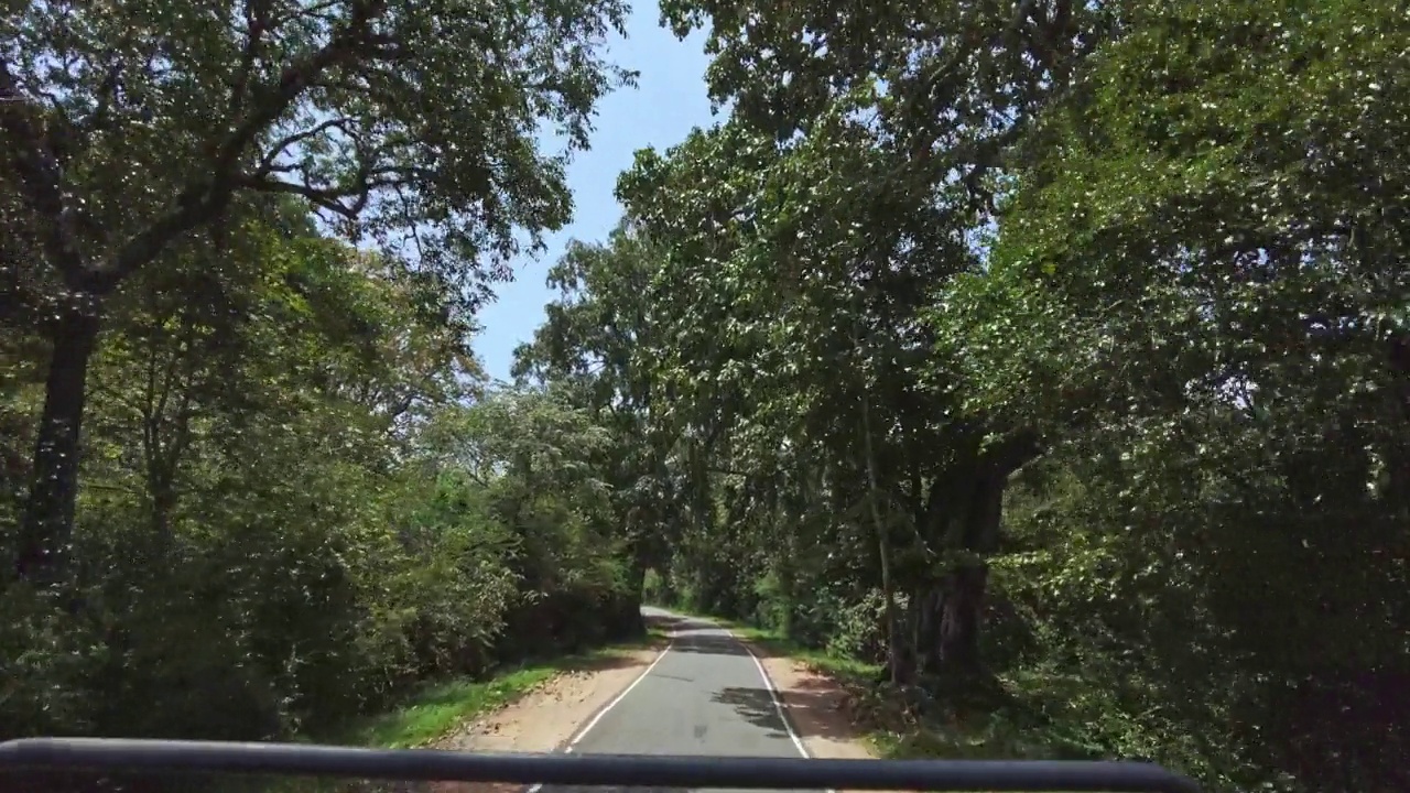 车行驶在树木和自然之间的道路，斯里兰卡视频素材