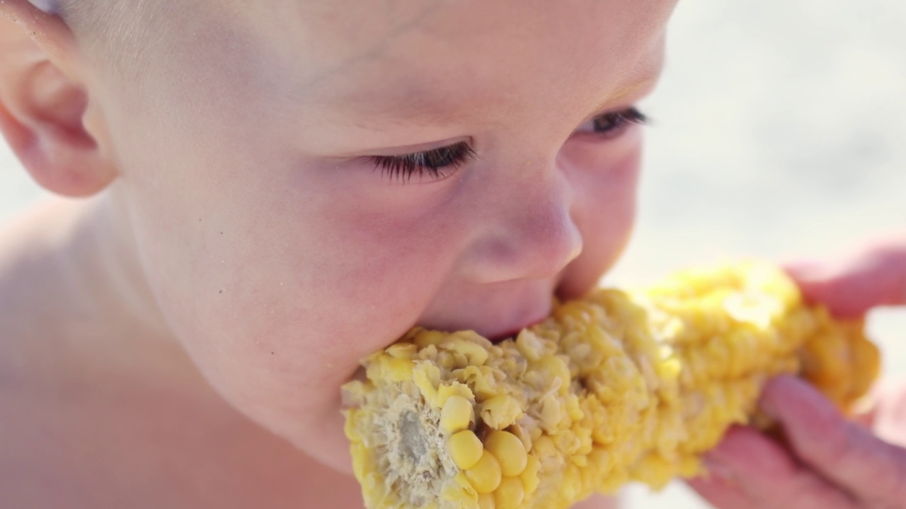 肖像小男孩吃甜玉米棒健康食品零食。脸部特写的孩子视频素材