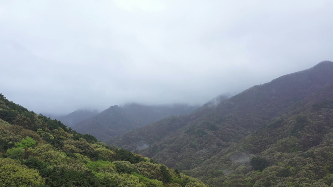 白天——云雾缭绕的智日山风景/韩国视频素材