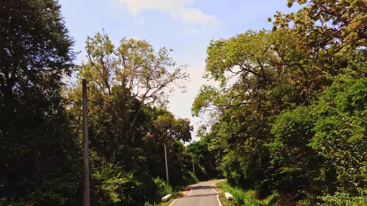 车行驶在树木和自然之间的道路，斯里兰卡视频素材