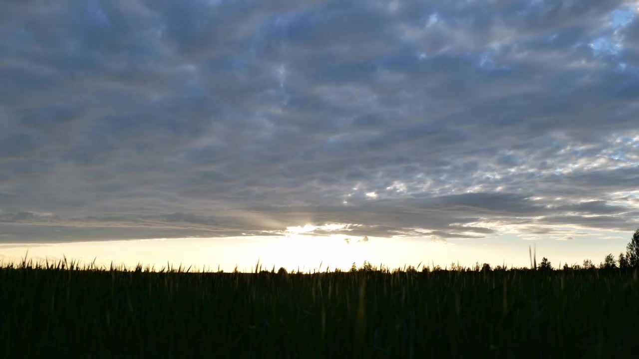 夕阳在绿色田野的时间流逝。田野上空是蓝色的云视频素材