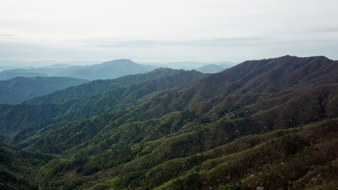 春天的海山岭/韩国视频素材