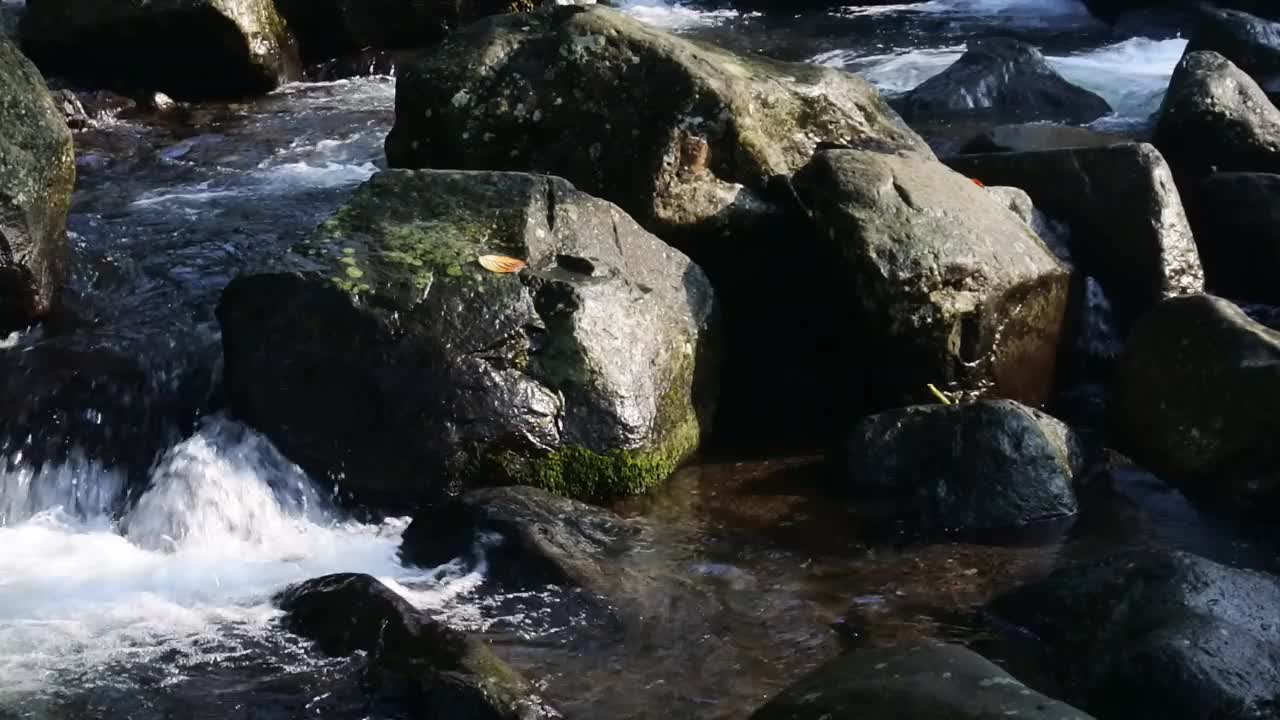 水在河岸和岩石之间流动的美丽景色。水背景的镜头。湍急的山河穿过岩石的激流。国家公园里有浑浊的水流。视频素材