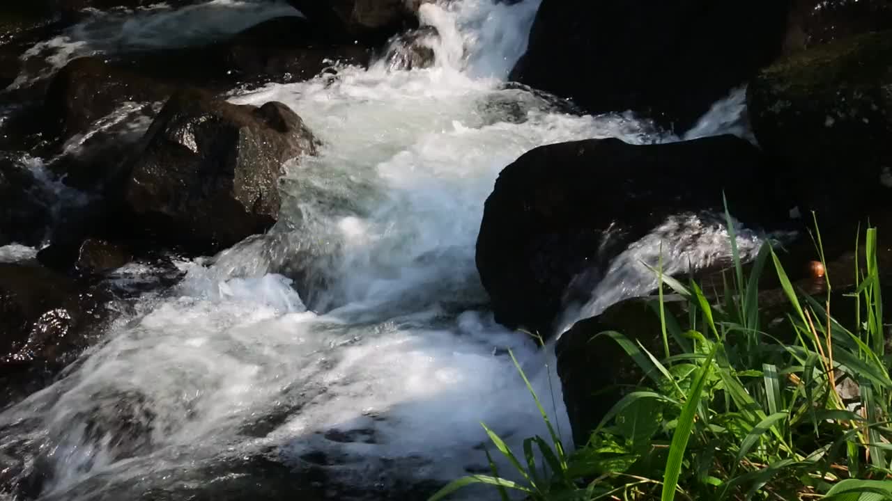 水在河岸和岩石之间流动的美丽景色。水背景的镜头。湍急的山河穿过岩石的激流。国家公园里有浑浊的水流。视频素材