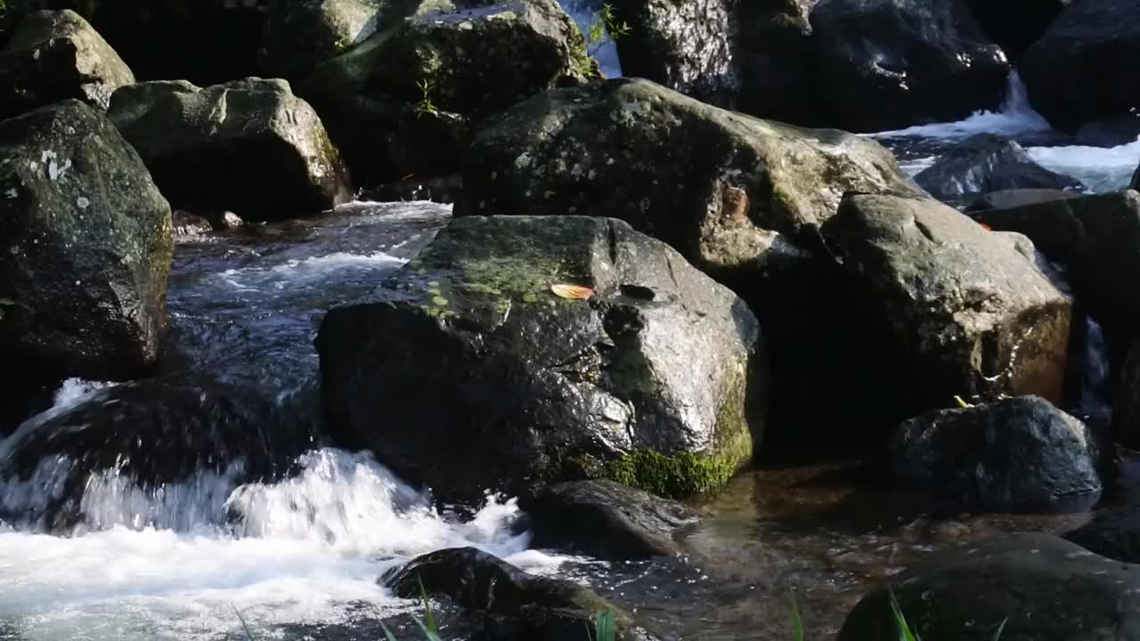 水在河岸和岩石之间流动的美丽景色。水背景的镜头。湍急的山河穿过岩石的激流。国家公园里有浑浊的水流。视频素材