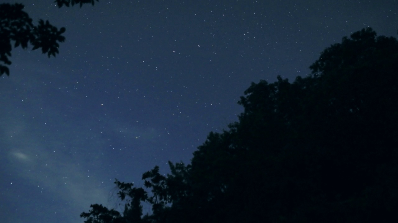 时间流逝-从森林看夜空视频素材