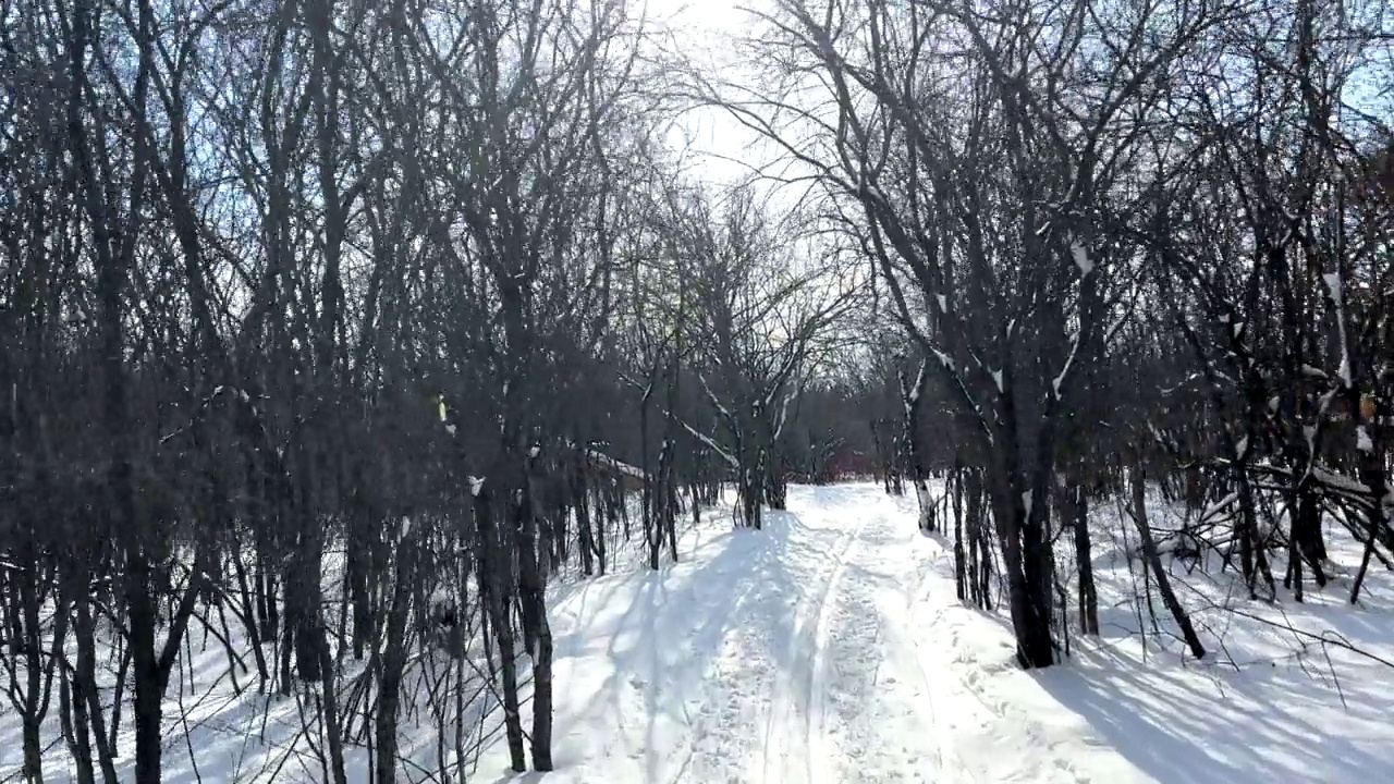 越野滑雪视频素材