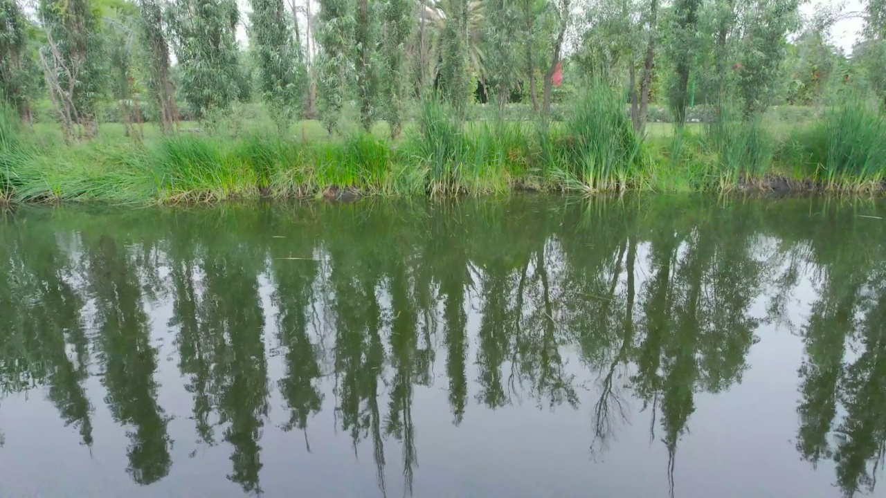 生态公园Xochimilco视频下载