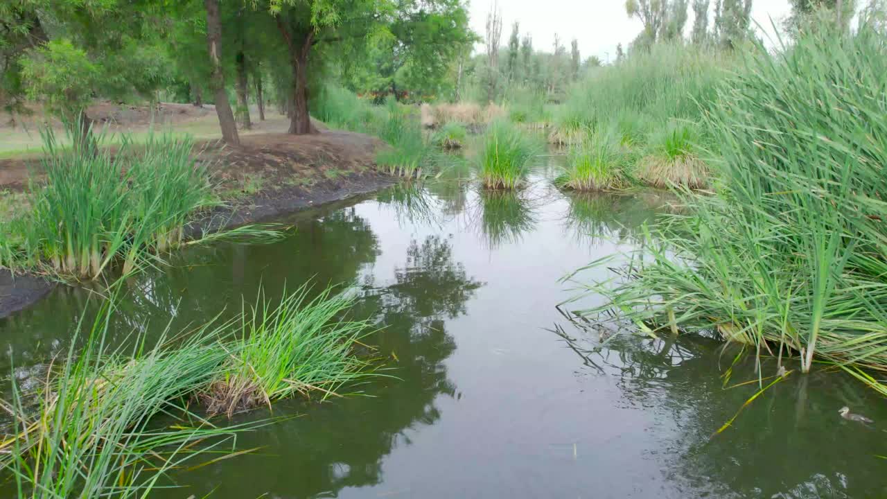 生态公园Xochimilco视频素材