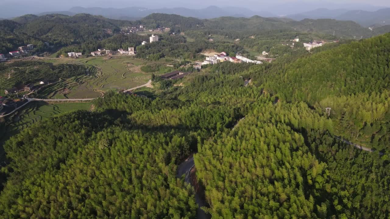 航拍到竹林中一条通往小村庄的道路视频素材