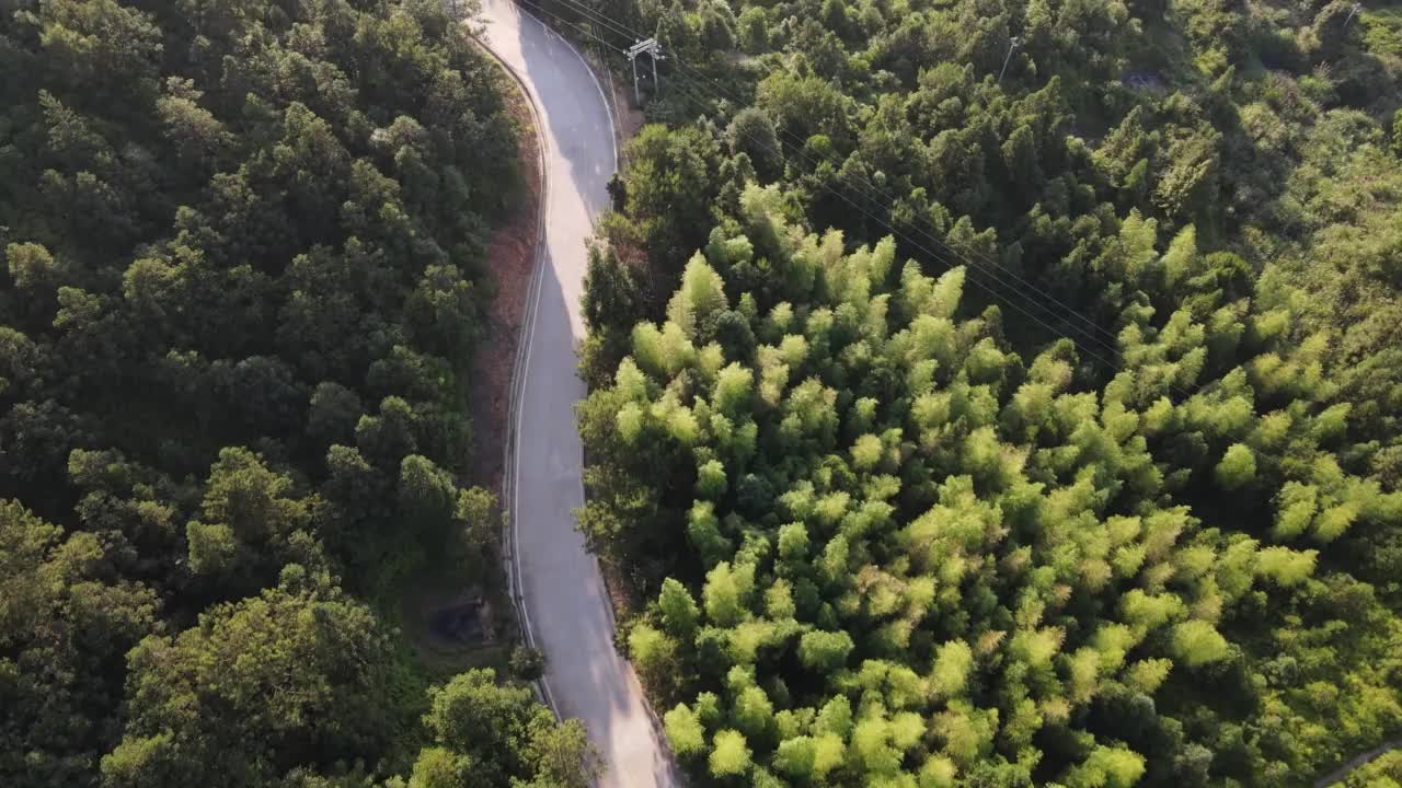 竹林之间弯曲道路的航拍视频视频素材