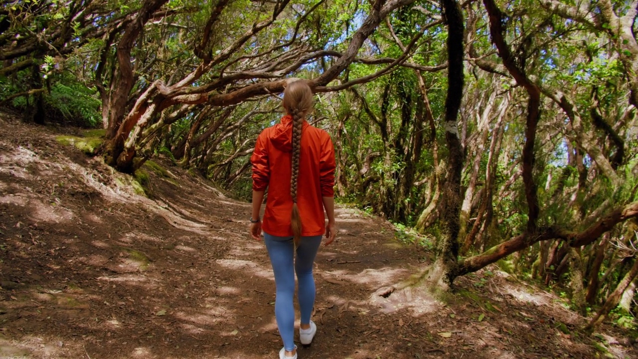 POV拍摄的人跟踪一个徒步旅行的女人走在月桂树林，雨林，在Pico del Ingles, Anaga森林，特内里费。视频素材