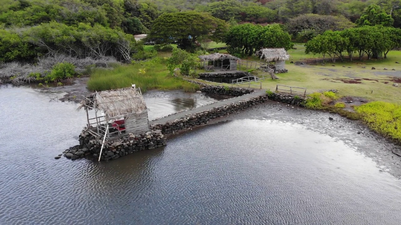 池塘上的夏威夷小屋视频下载