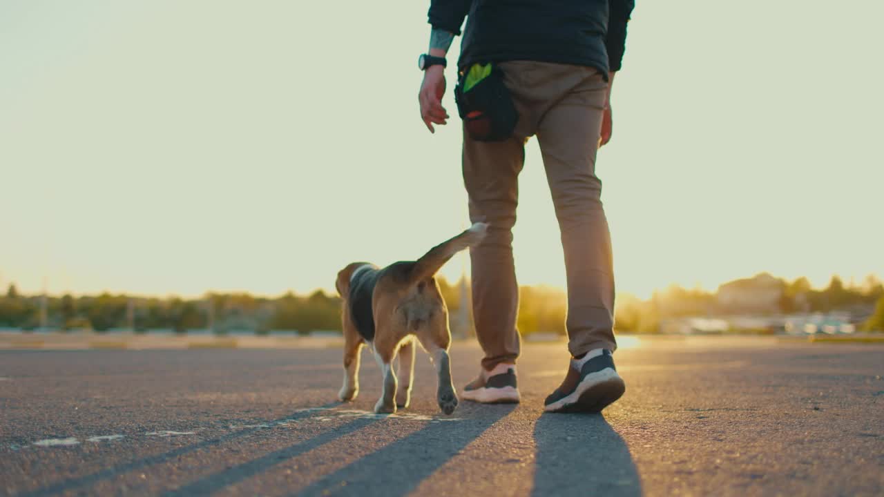 主人教比格犬在停车场滑冰。慢动作视频素材