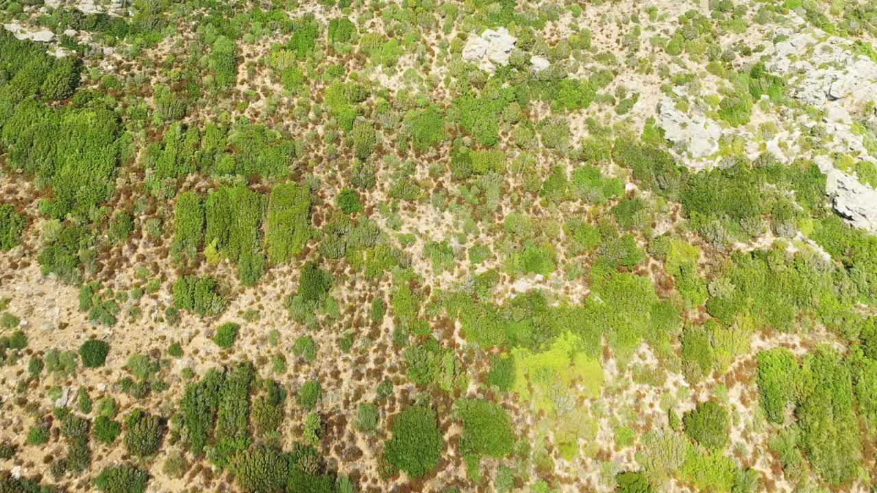 在一个阳光明媚的夏天，在欧洲、法国、科西嘉岛，靠近地中海的巴斯夏，在青山之巅的塞拉山坳磨坊。视频素材