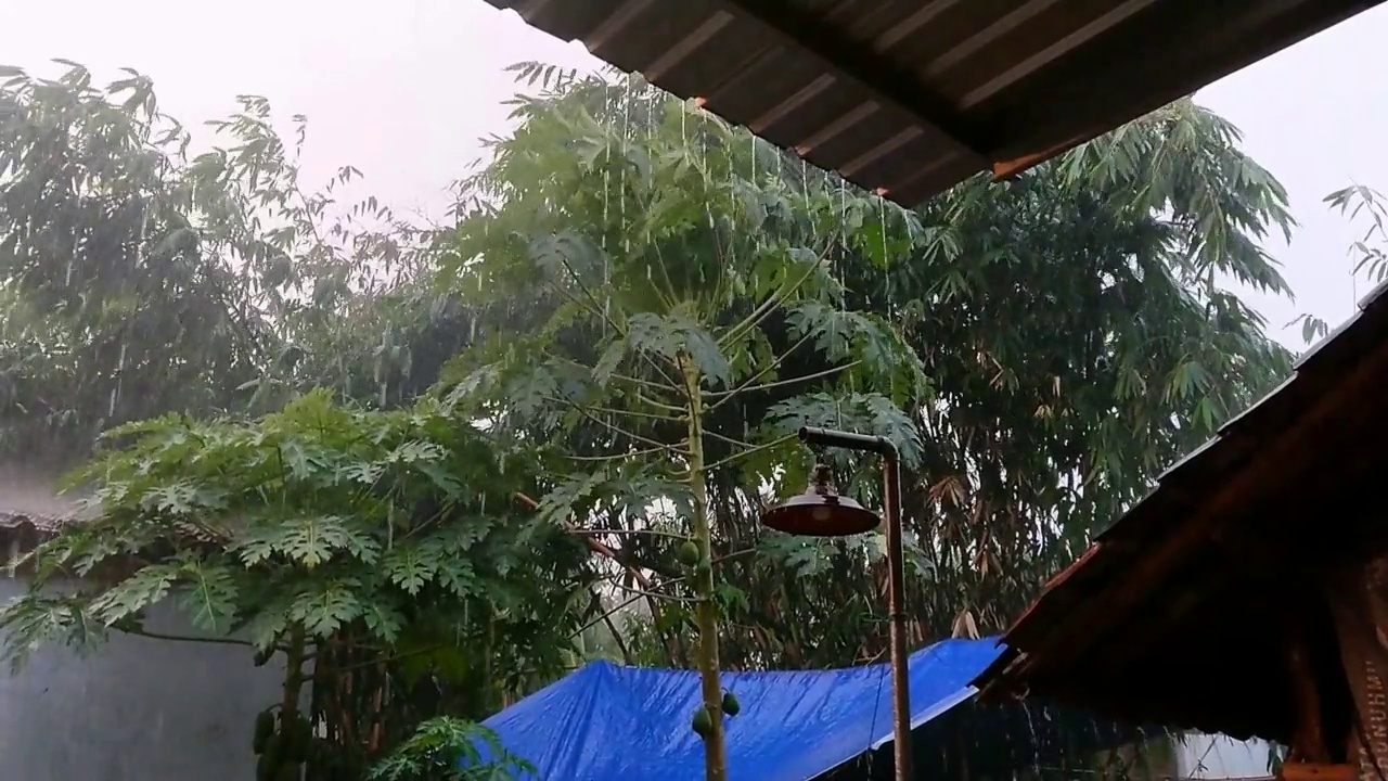 狂风暴雨视频下载