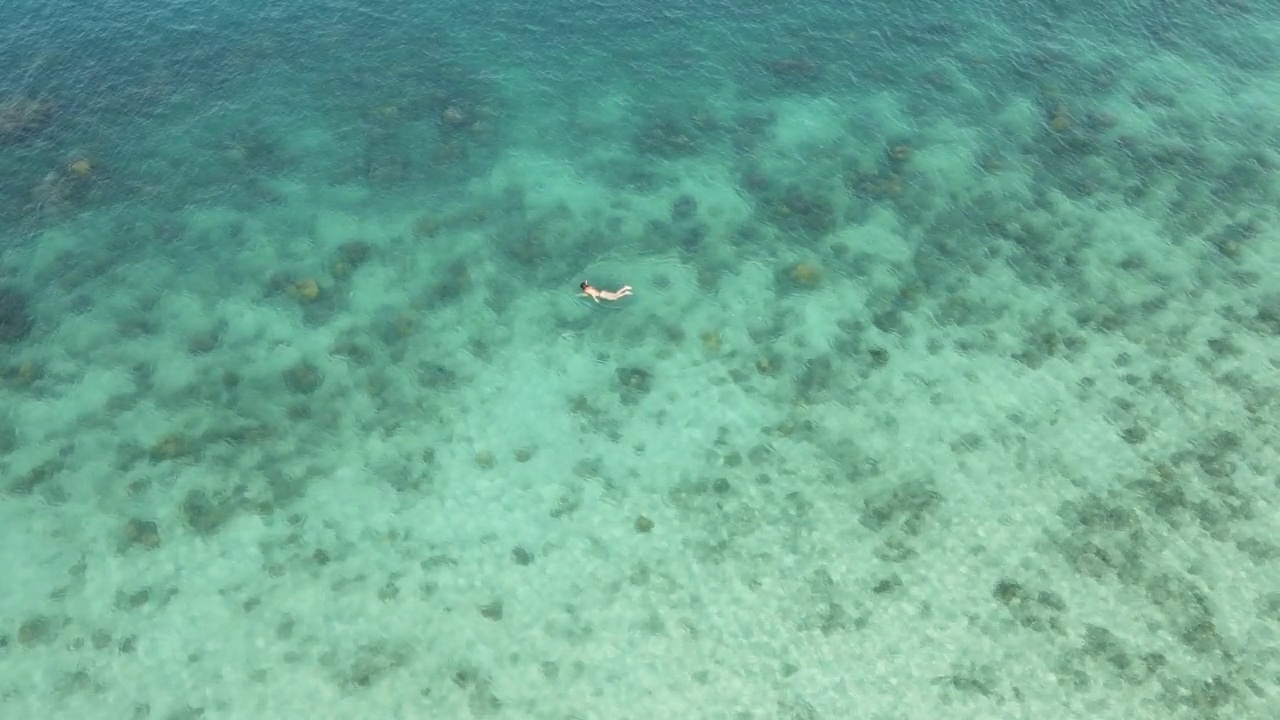 游客在浅水区浮潜。视频素材