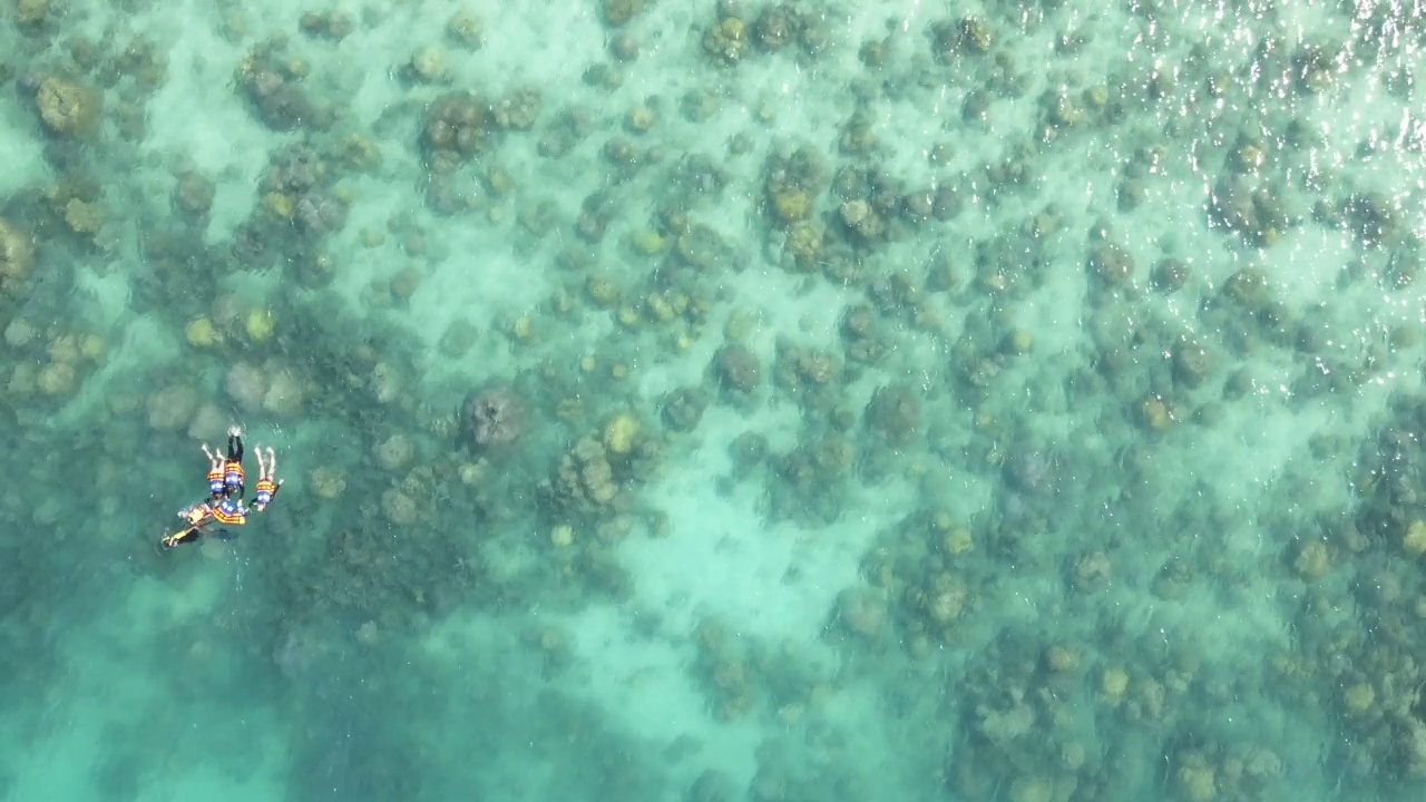 游客在浅水区浮潜。视频素材