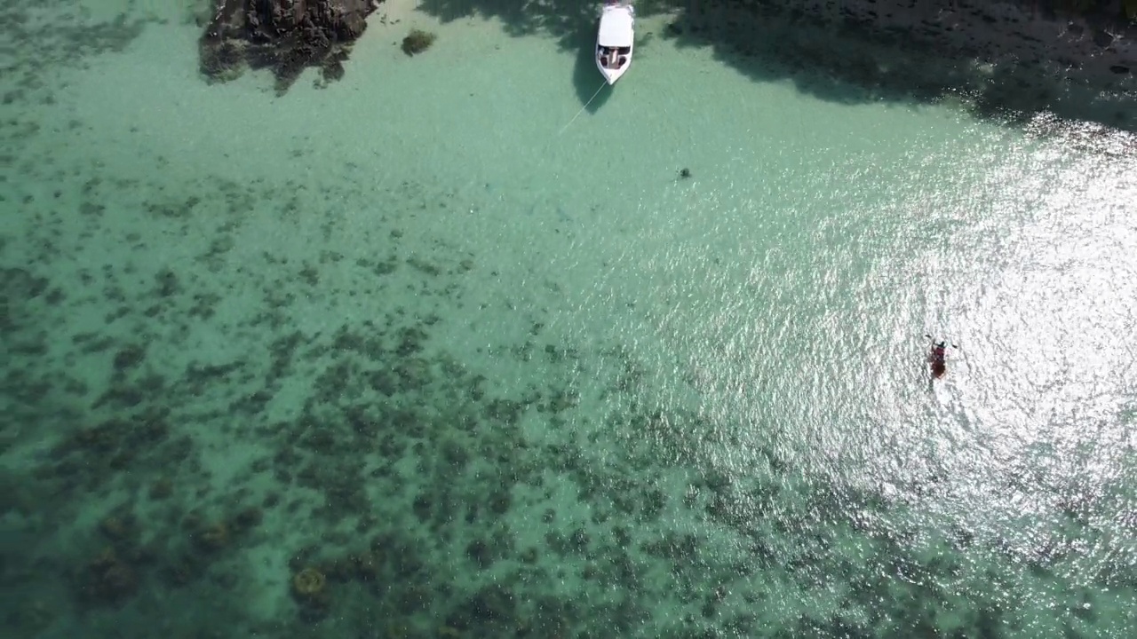 游客在浅水区浮潜。视频素材