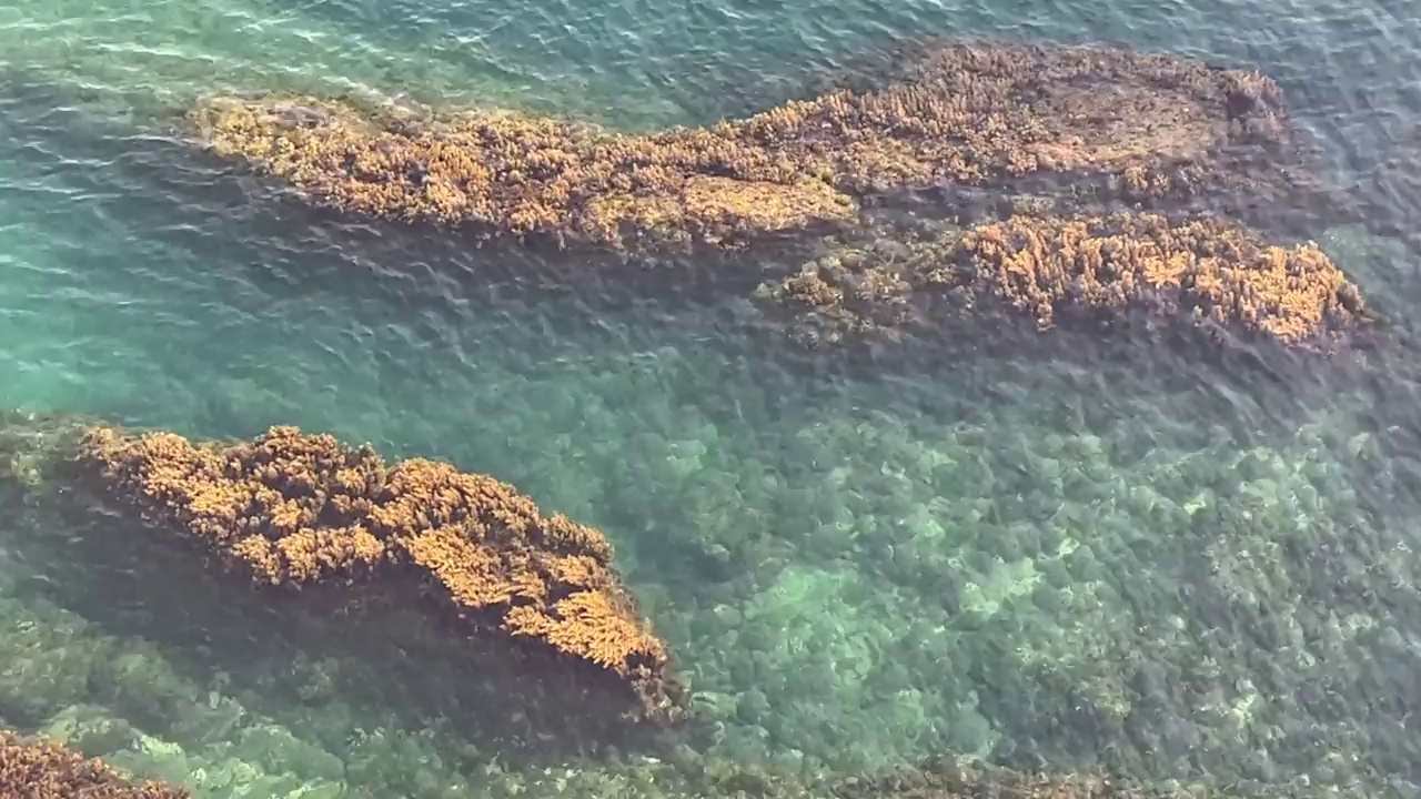 绿松石状的海水和布满藻类的海岸岩石。视频素材